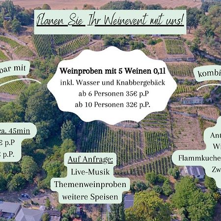 Ferienhaus Traminer Im Weinberg Freyburg Exterior photo
