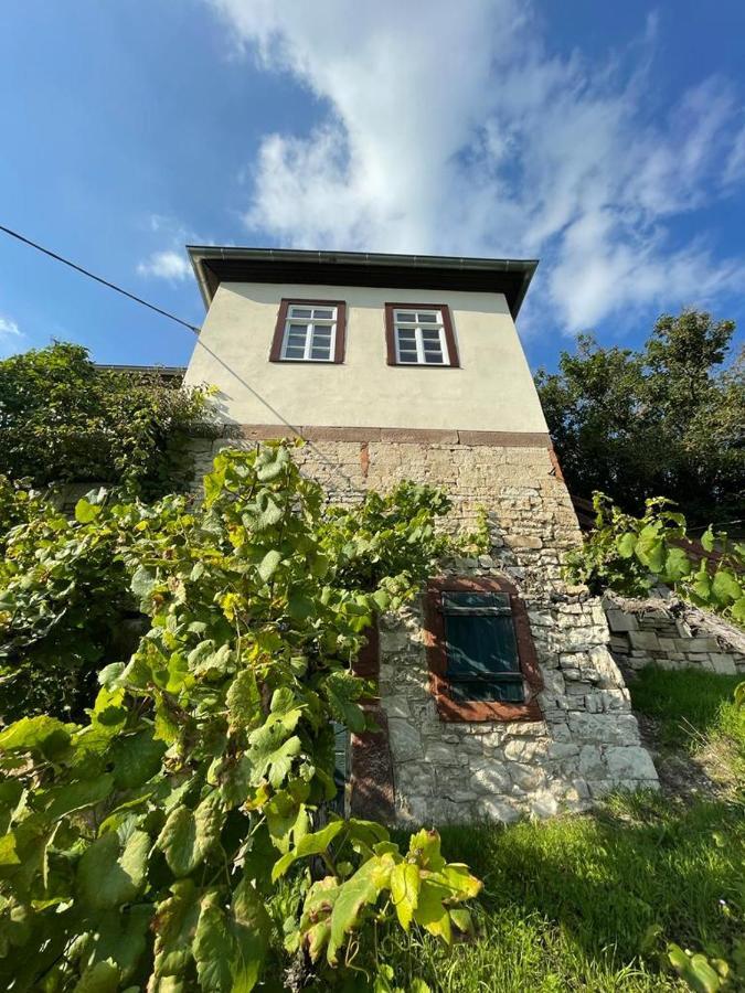 Ferienhaus Traminer Im Weinberg Freyburg Exterior photo